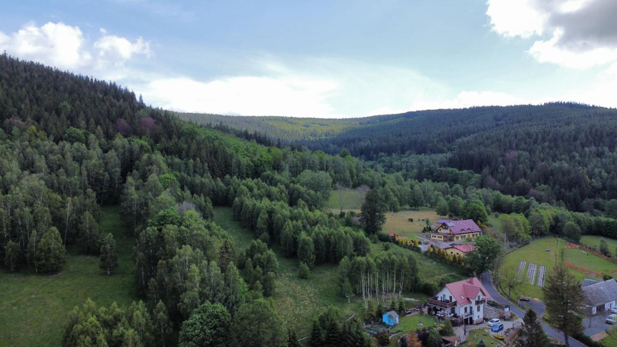 Strefa Ciszy -Lawenda Apartment Świeradów-Zdrój Exterior foto