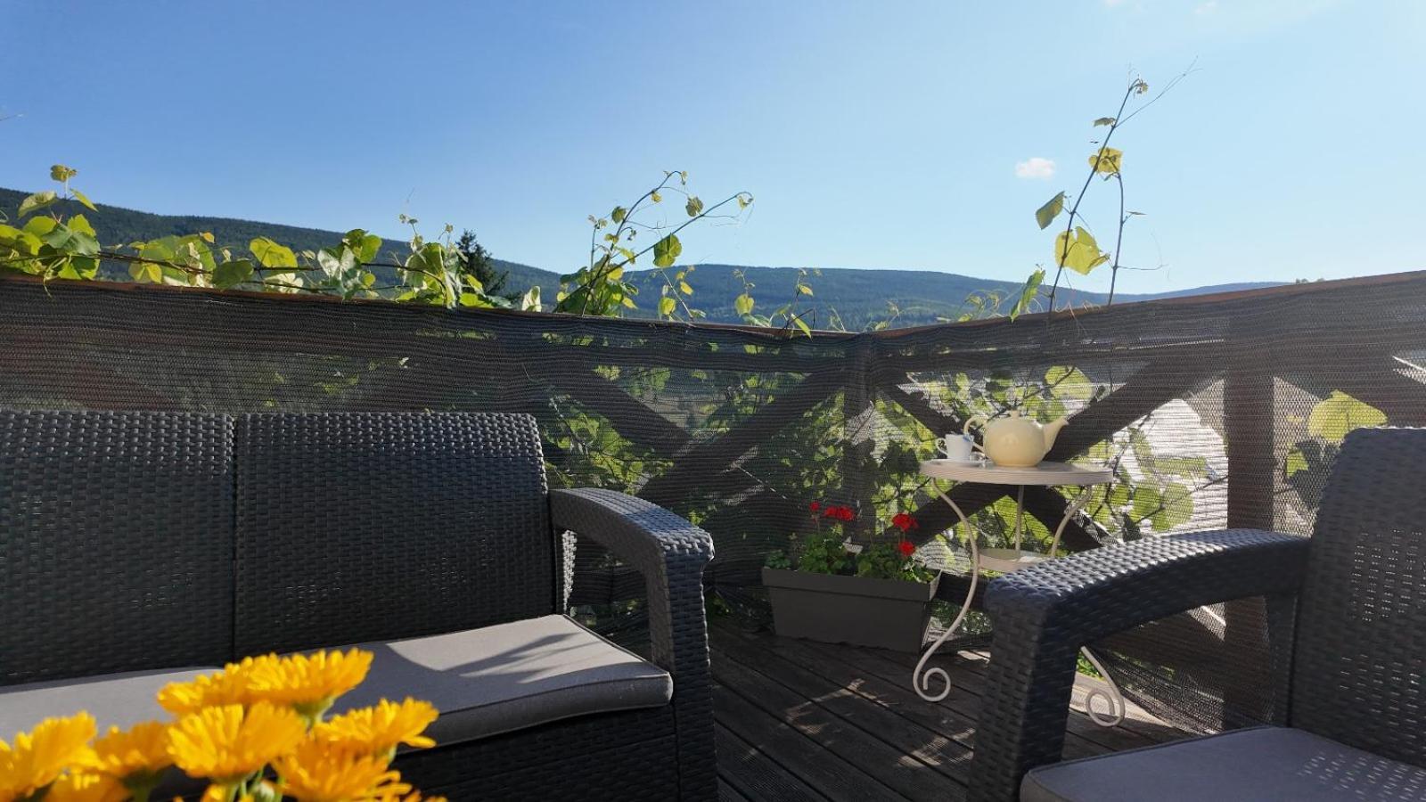 Strefa Ciszy -Lawenda Apartment Świeradów-Zdrój Exterior foto